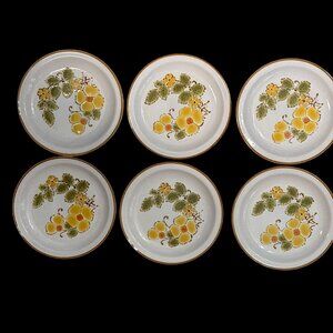 6 International China Stoneybrook Wildflower Salad Plates 7.5" Stoneware Japan